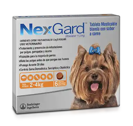 Nexgard 2-4kg