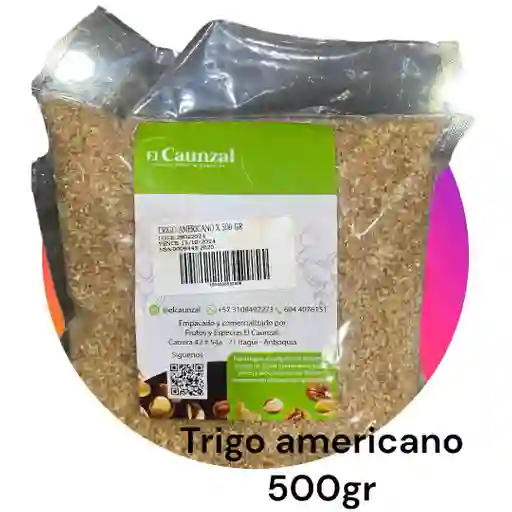 Trigo Americano 500gr