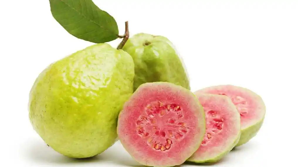 Guayaba