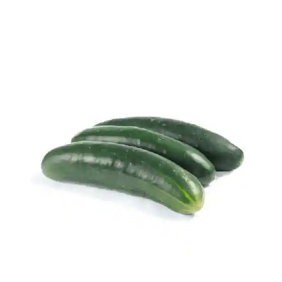 Pepino Cohombro