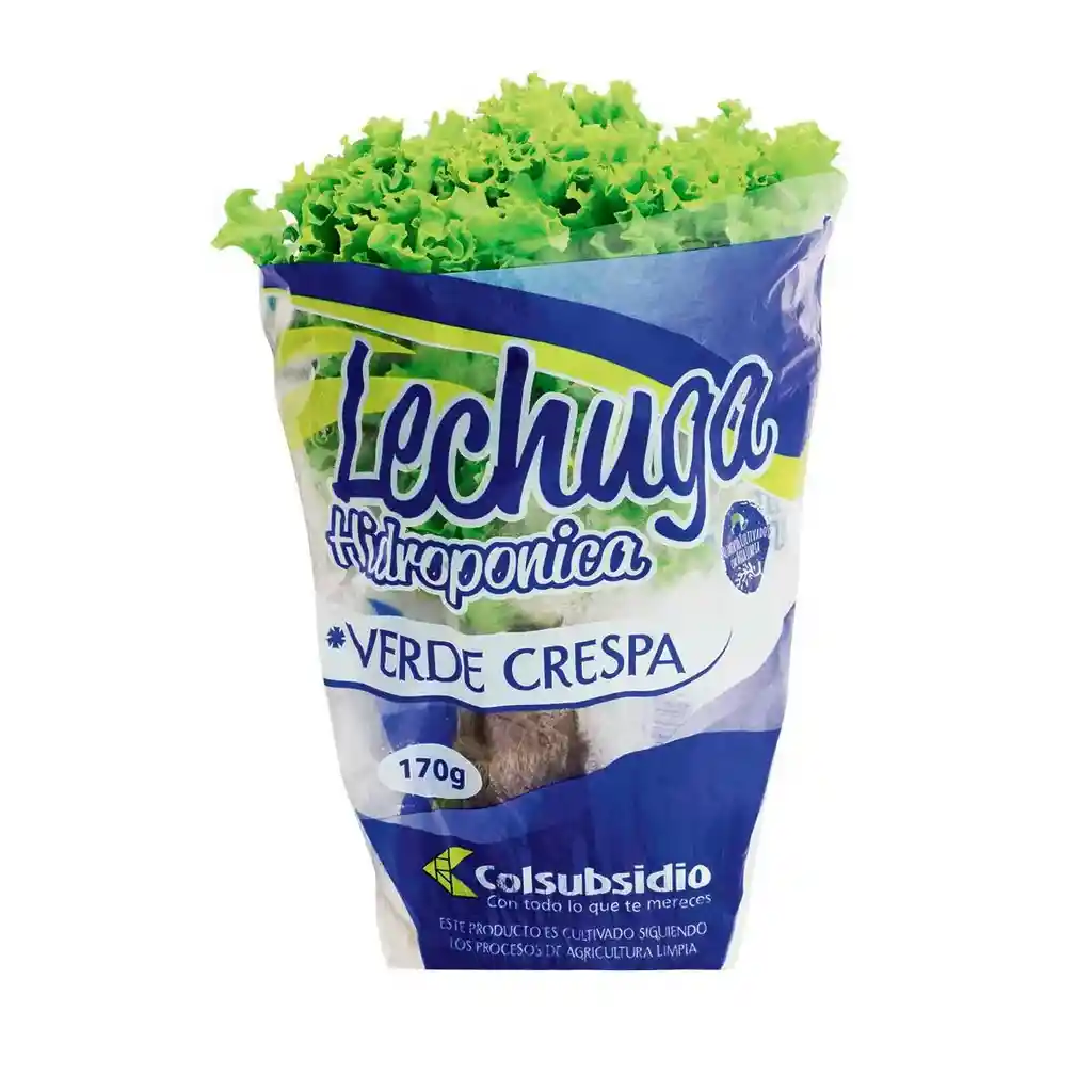 Lechuga Crespa Verde