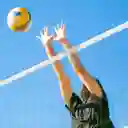 Red De Voleibol Para Exteriores