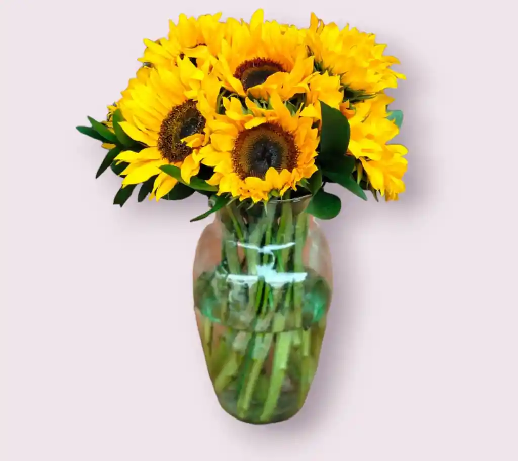 Florero Bello Amanecer 12 Girasoles