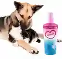 Perfume Para Mascota Can Amor 120ml Fragancia De Bebe Con Aroma Perdurable
