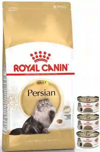 Royal Canin Persa Adulto 2 Kg Gratis 3 Latas De Alimento Húmedo Persa 85 G