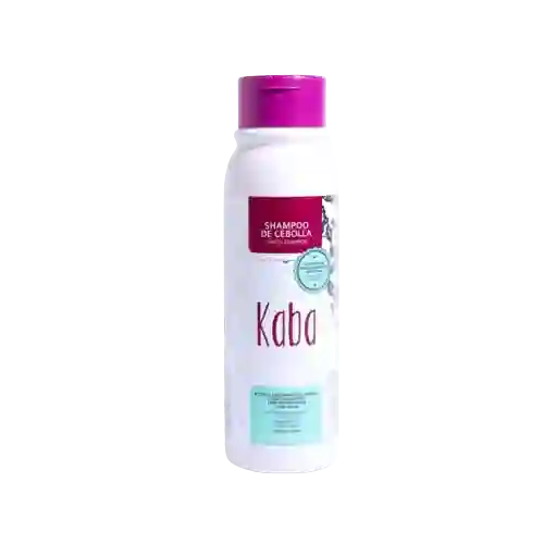 Acondicionador Kaba X 500