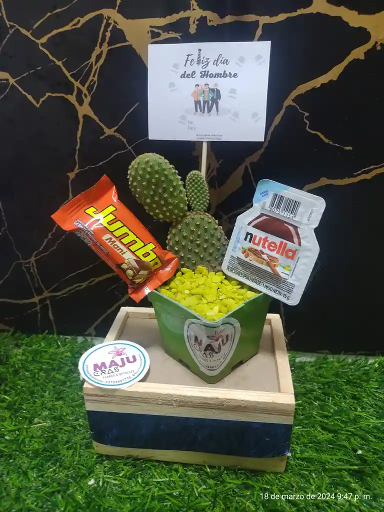 Cactus Fechas Especial