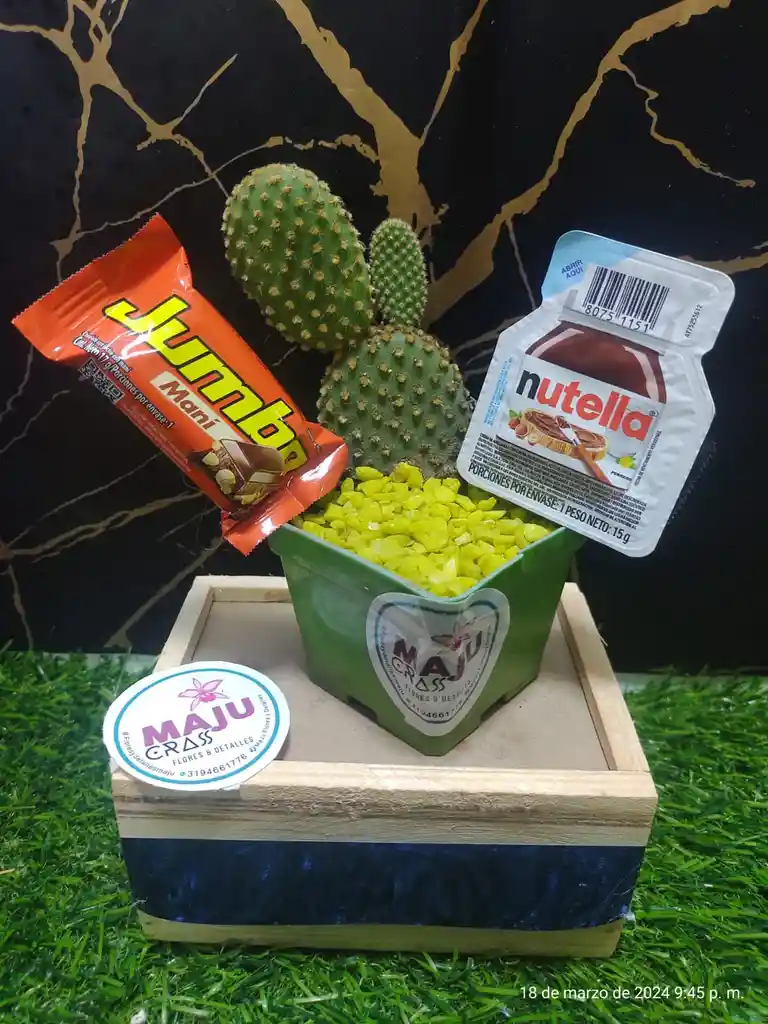 Cactus Fechas Especial
