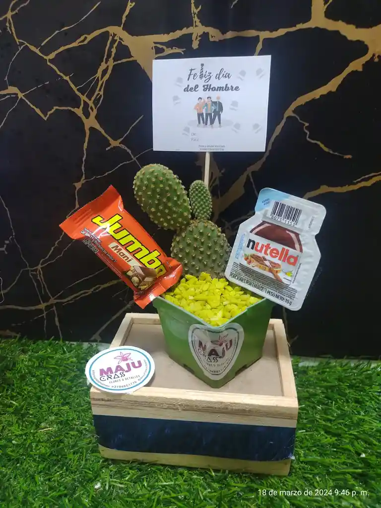 Cactus Fechas Especial