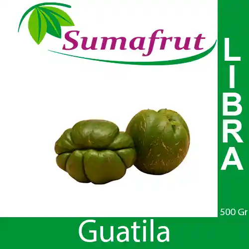 Guatila