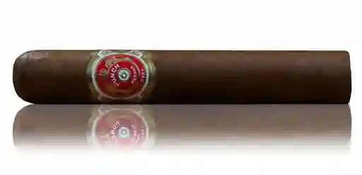 Habano Portelli Sabor Chocolate