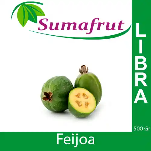 Feijoa