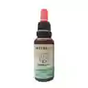 Aceite De Cbd Para Mascotas