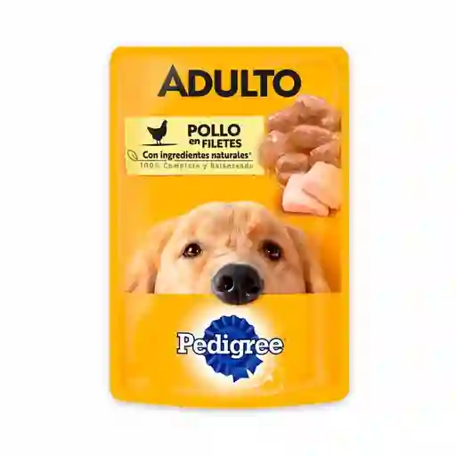 Pouch Pedigre Adt Pollo 100g
