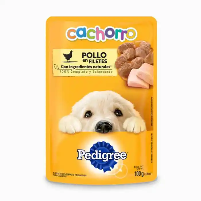 Pouch Pedigree Cach Pollo 100g