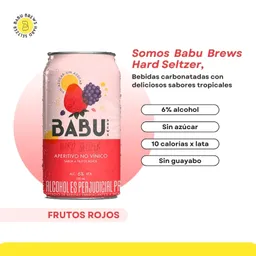 Babu Frutos Rojos Hard Seltzer - Babu Brews 330ml