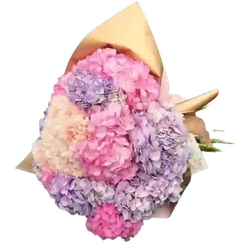 Bouquet De Hortensias X12 Surtida Colores Rosas