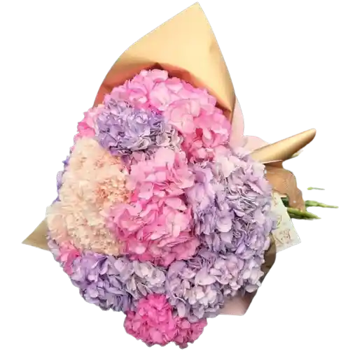 Bouquet De Hortensias X12 Surtida Colores Rosas
