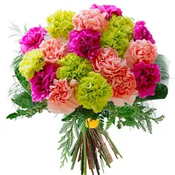 Bouquet De Claveles Surtido X24