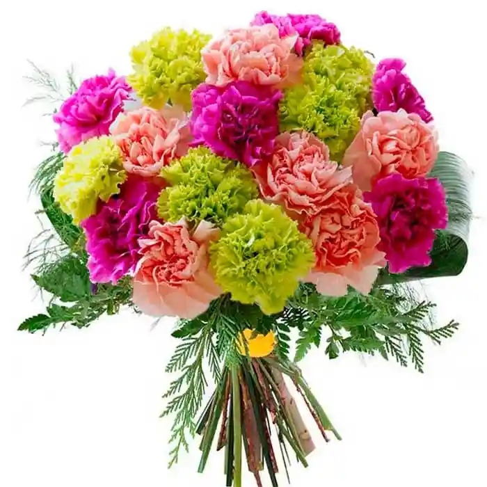 Bouquet De Claveles Surtido X24