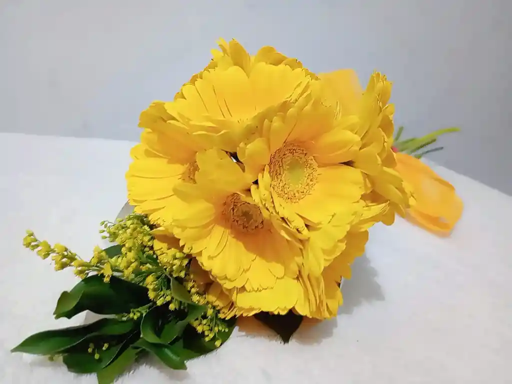 Paquete Gerbera Amarilla X10