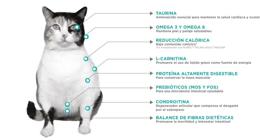 Nupec Felino Weight Care 1.5kg