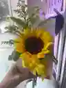 Girasol En Tarjeta