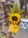 Girasol Mini Bouquet