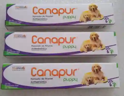 Canapur Puppy Para Perros Cachorros