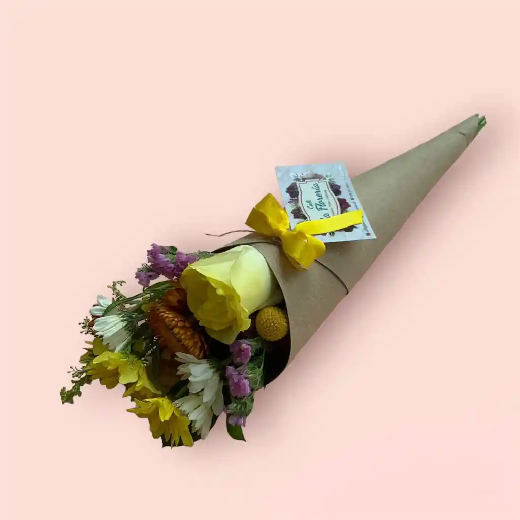 Cono Floricienta