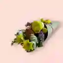 Cono Floricienta