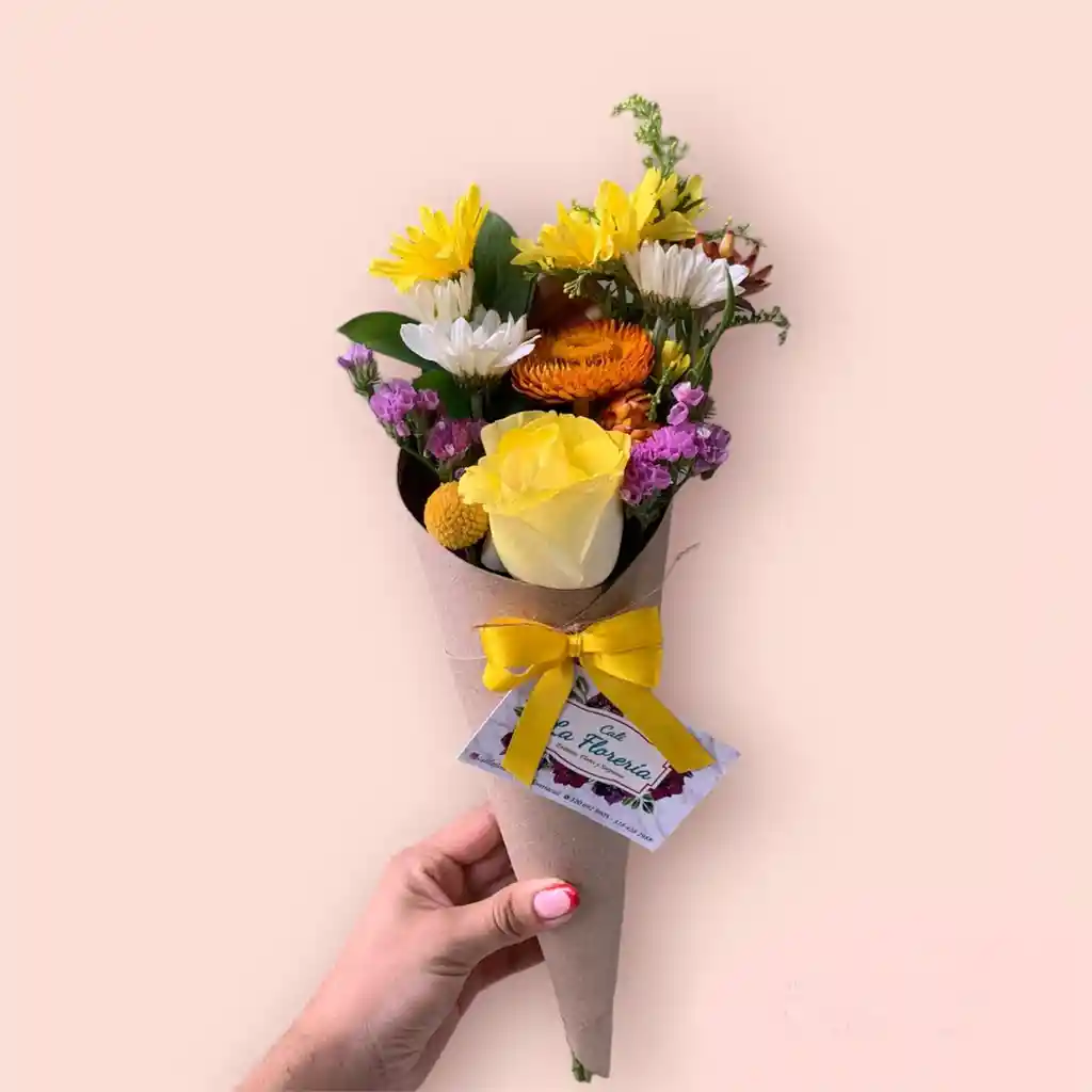 Cono Floricienta