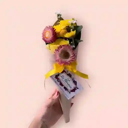 Cono Floricienta