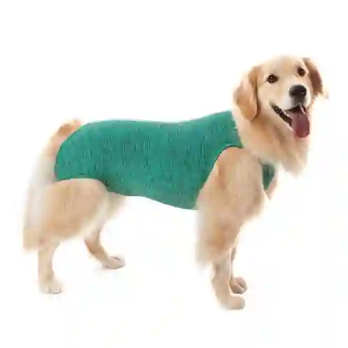 Ropa Post Quirurgica Canino Hembra Verde 11 (27 A 32 Kg)