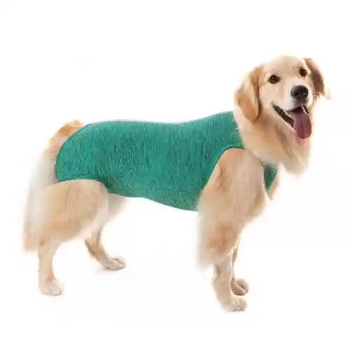 Ropa Post Quirurgica Canino Hembra Verde 11 (27 A 32 Kg)