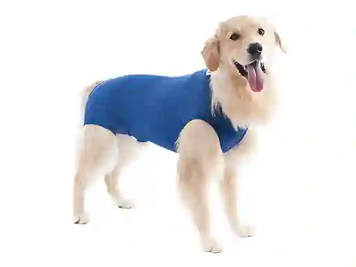 Ropa Post Quirúrgica Canino Macho Azul 10 (21 A 27 Kg)