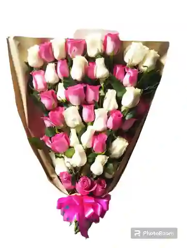 Rosas Deslumbrantes