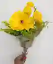 Flores Amarillas
