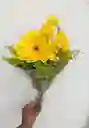 Flores Amarillas