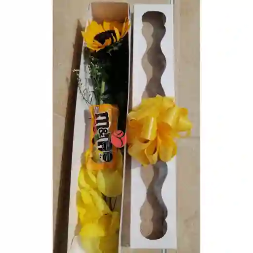 Caja De 1 Girasol Y Chocolates
