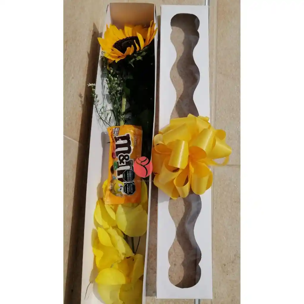 Caja De 1 Girasol Y Chocolates