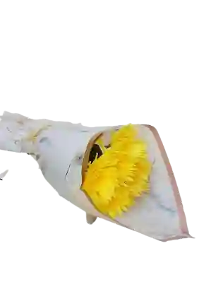 Bouquet De Margaritas