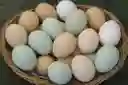 Huevo Criollo (campesino)
