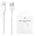Cable Iphone Usb Carro Moto