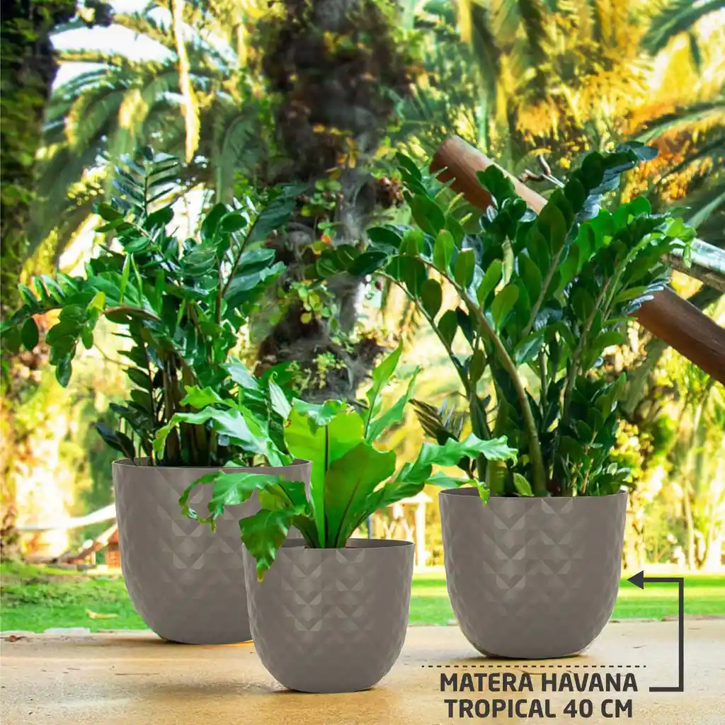 Matera Tropical 40 Cm Gris Oscuro