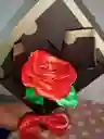 Rosas Eternas