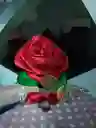 Rosas Eternas