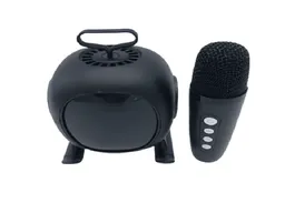 Mini Parlante Karaoke Recargable Inalámbrico