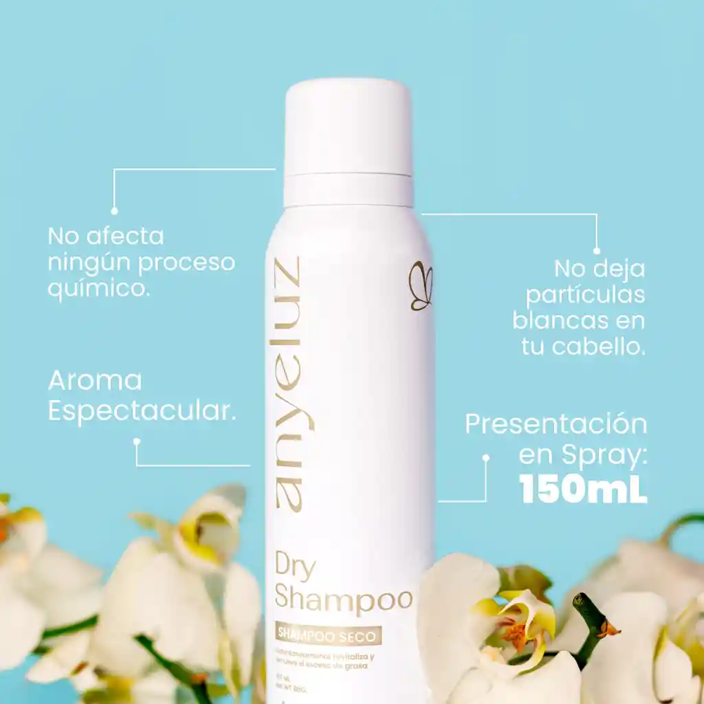 Anyeluz Shampoo Seco