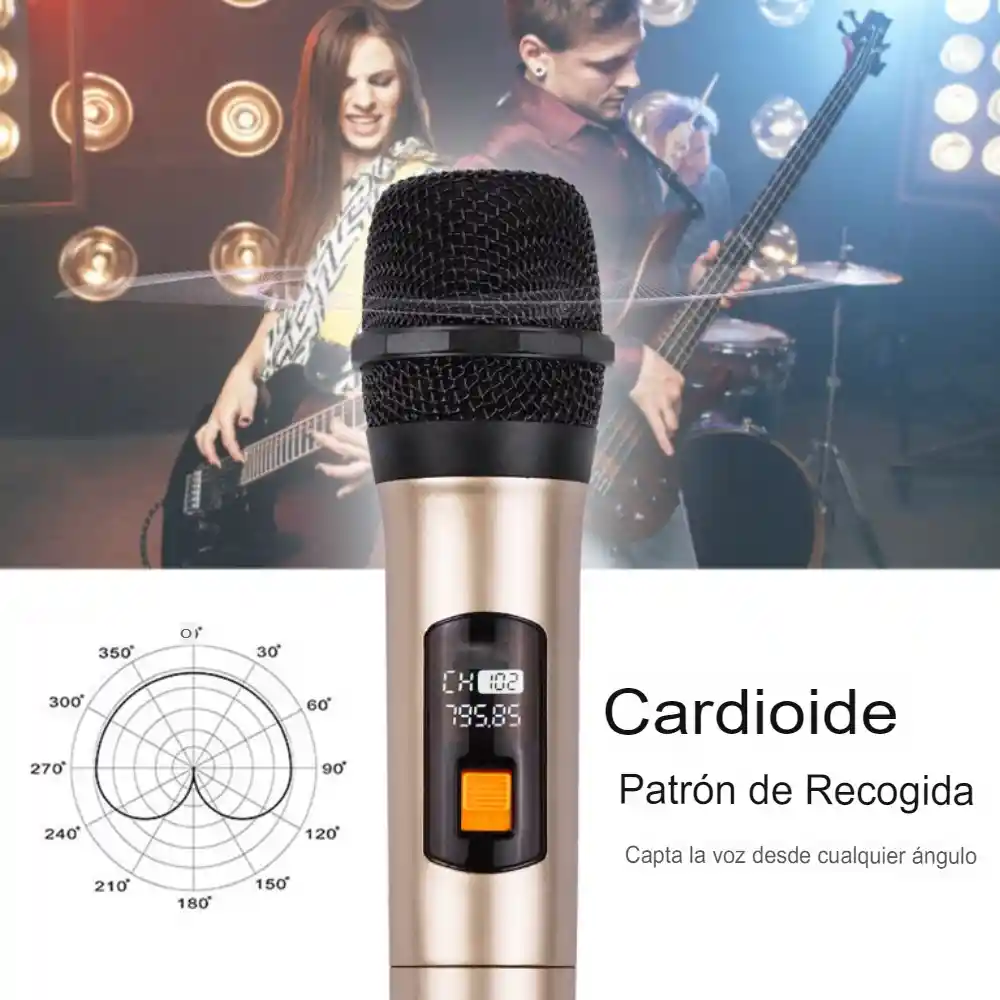 Microfono De Mano Profesional Inalambrico Uhf 6.5mm Pantalla
